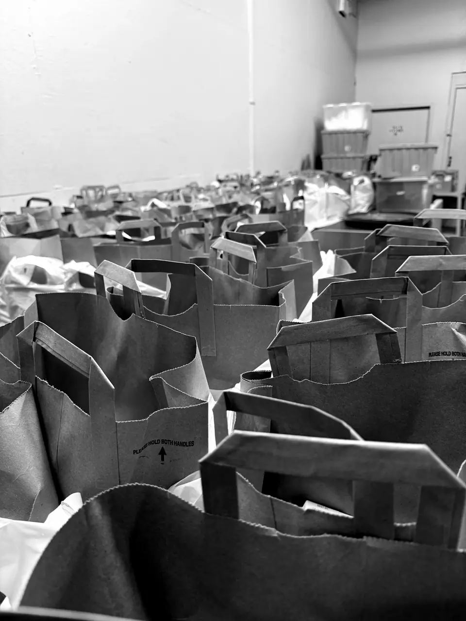 Grocery bags packed and lined up for a Food Pantry morning